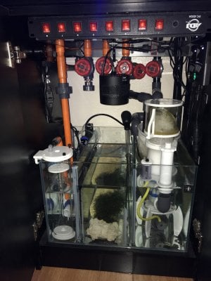 40 G sump.jpeg