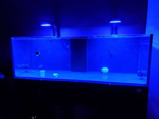 tank w lights.jpg