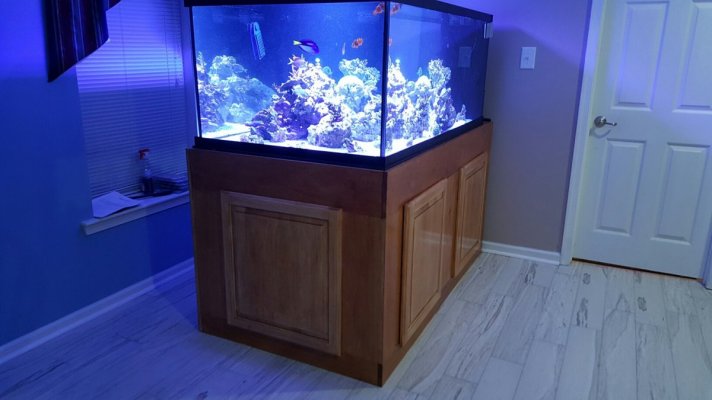 Fish tank.jpg