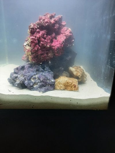 Reef tank aquascape 3 side 1.jpg