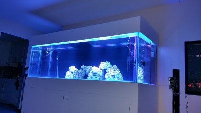 400 gal-9.jpg