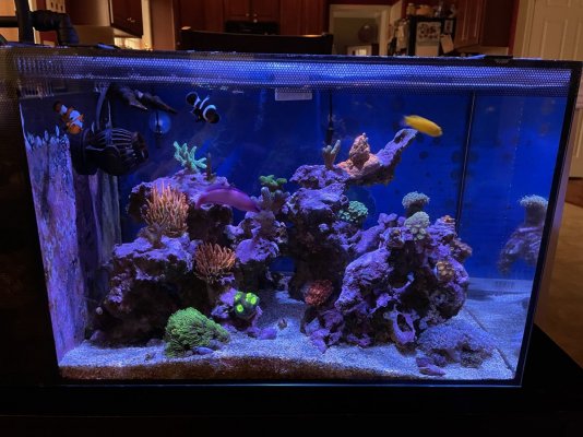 Fluval Apr 11.jpg