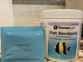 Fenbendazole Jar front.jpg