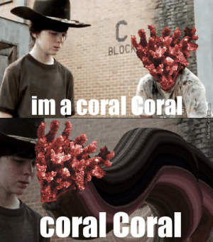 coral coral.png