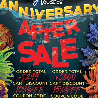 ANNIVERSARYSALE_AfterSale_1080x1080-800x800.jpg