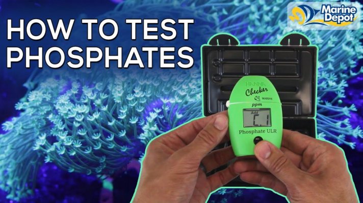 How to test phosphates forum.jpg