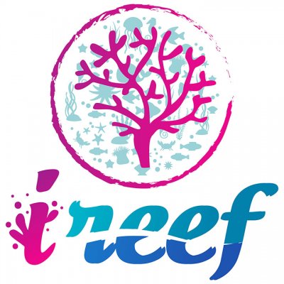 iReef Logo.jpg