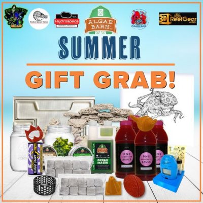 summer gift grab.jpg