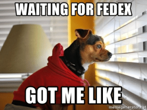 thumb_waiting-for-fedex-got-me-like-memegeneratonnet-waiting-for-fedex-53887165.png