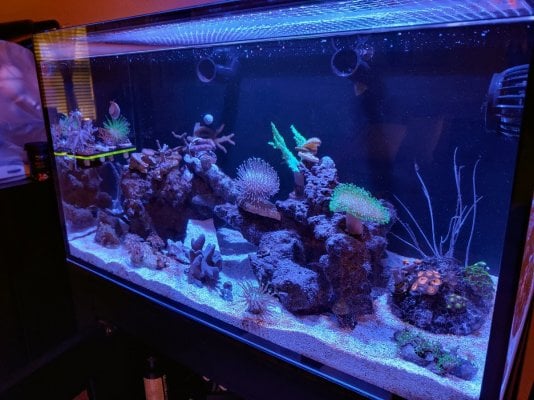 FTS_080621.jpg