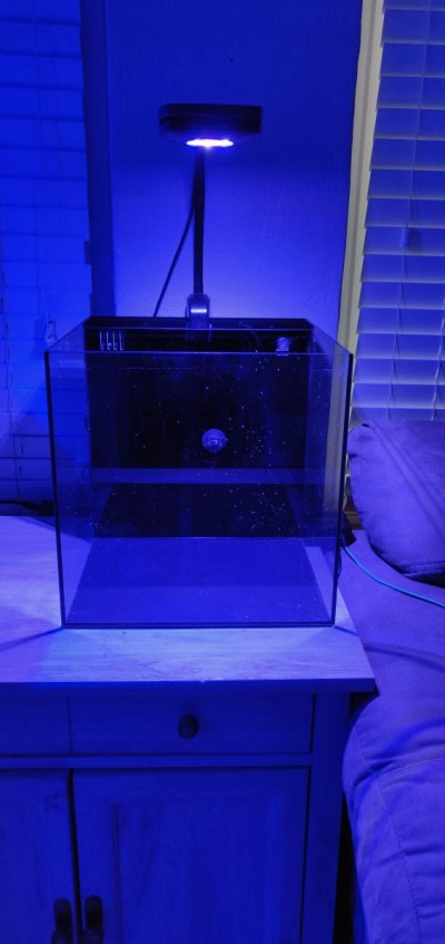 Waterbox 10 gallons with ai prime hd light