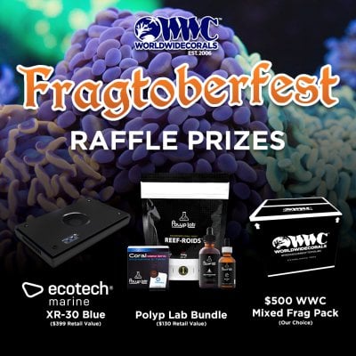 Fragtoberfest-Raffle-Flyer-2021.jpg