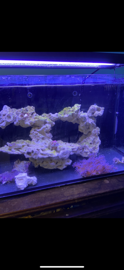 Custom Rock Aquascape