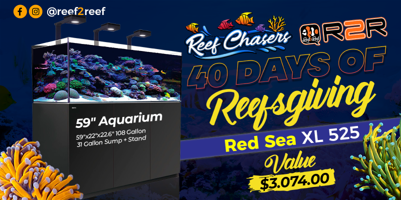 Reef Chasers 40 Days of Reefsgiving!! WIN a Red Sea XL 525 (valued at $3,000+)!!