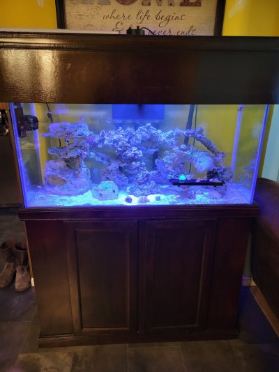 90 gallon reef and equipment