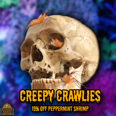 Creepy Crawly FB (1).png