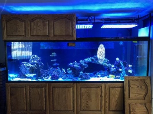 Aquarium Front.jpg