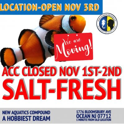 MOVING SALE- 50% OFF INVERTS AND FISH- CLOSED NOV 1st &2nd- SOFT OPENING NOV 3rd