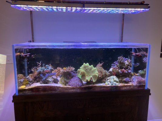 65g Crystal Reef Aquatics Tank — 48x18x18