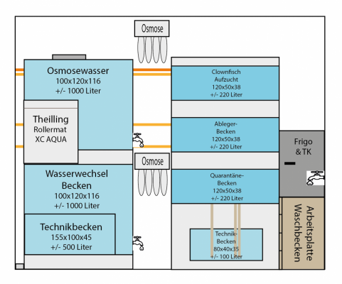 Aquarium Aufzuchtwand.png