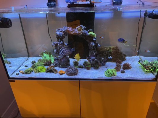 Reef 130.4 Full setup