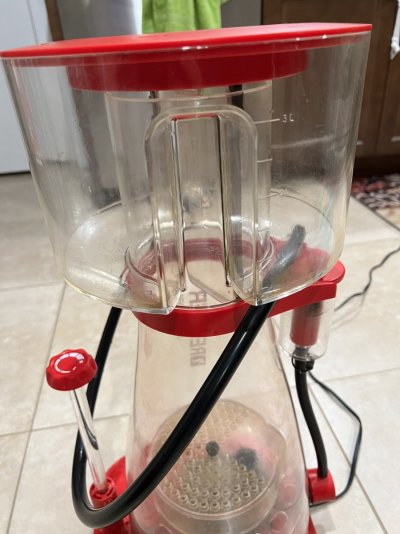 Used Red Sea RSK 900 Protein Skimmer