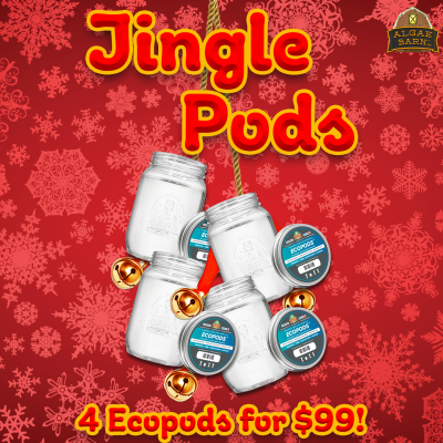 JinglePods IG.png