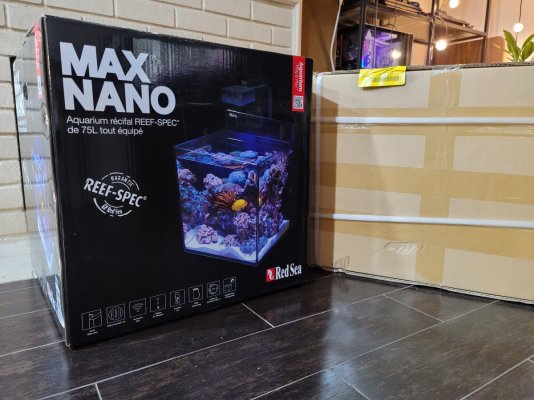 BRAND NEW IN BOX Red Sea Max Nano and stand (white) for sale