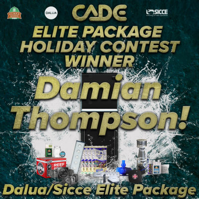 Dalua Winner 1400x1400.png