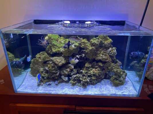 PLANET AQUARIUMS 70 GALLON TANK - 10 YEARS OLD