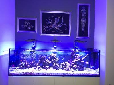 Elos Aquarium