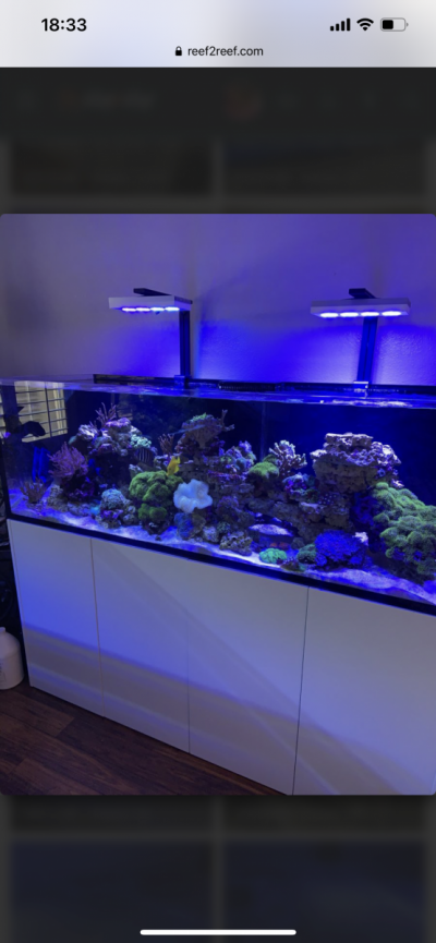 Waterbox 220 gallon pro reef  in Las Vegas Price reduced