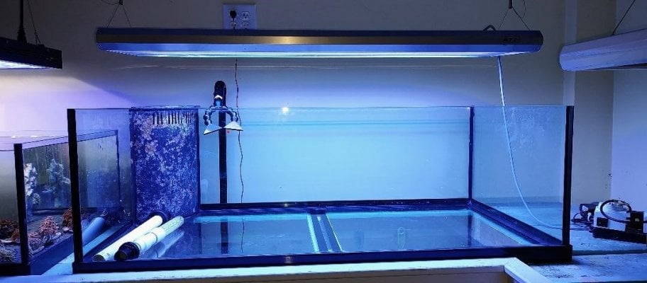 80 Gallon Rimless frag Tank For Sale