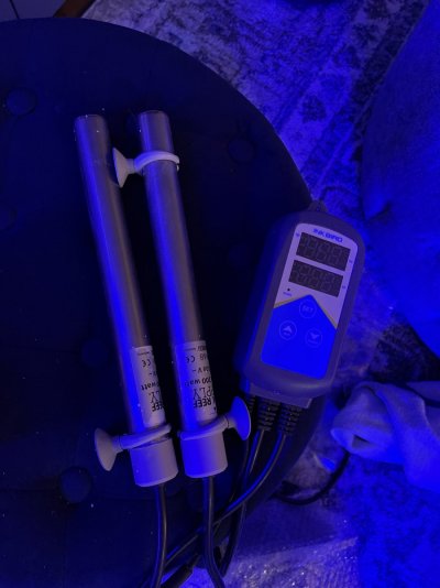 Bulk reef supply 400 watt heater with ink bird thermostat