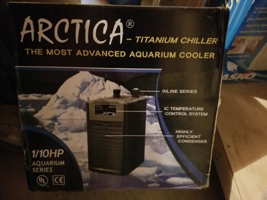 JBJ Artica 1/10 hp chiller