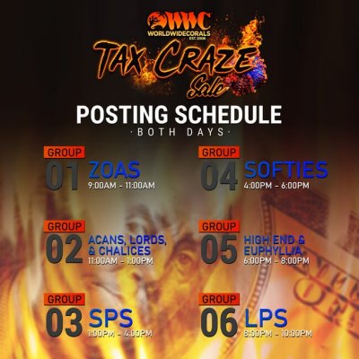 posting-schedule.jpg