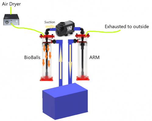 Torma Ozone Setup.PNG