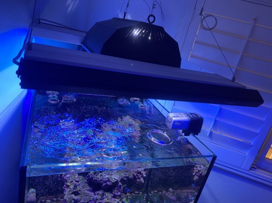 X2 Reefbrite XHO Actinic blue