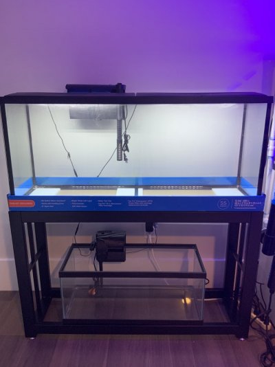55g and 20g combo set w/stand,filters,lights (live sand not inc but available)