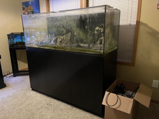 Red sea reefer 525xl with matching black stand sump plus extras