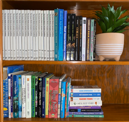 bookshelf.png