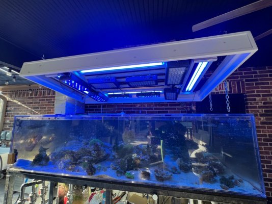 480 Gallon Acrylic Tank for Sale