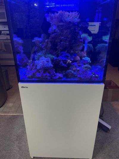 RedSea Reefer XL200 50 Gallon Aquarium w/white stand