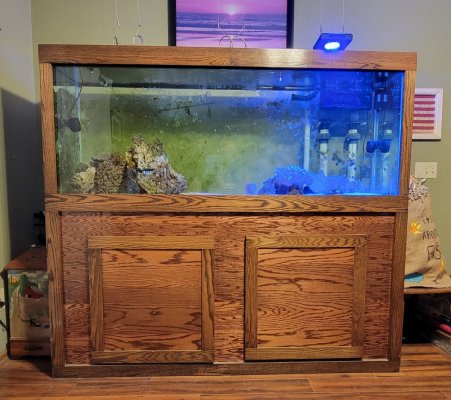 150 gallon with custom stand