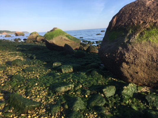 Rocks on beach.JPG