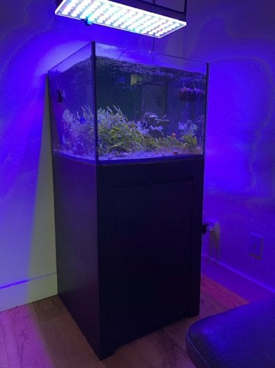 aquarium.jpg