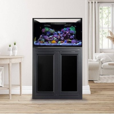 ext_75_gallon_aquarium_aps_stand_1_1.jpg