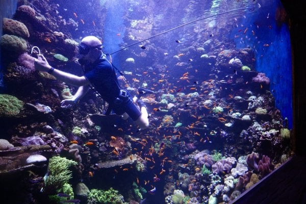 Abu_Dhabi_national_aquarium_Orphek_reef_amazonas_500_LED-Lighting-1536x1024.jpeg