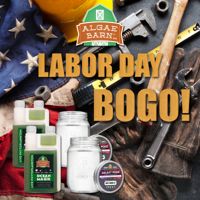 Labor Day Bogo 2.png