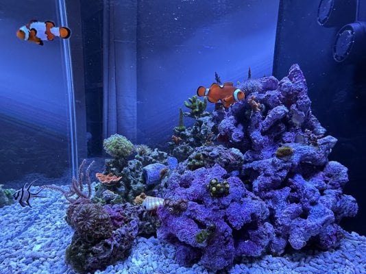 Aquarium Right Side View.jpg